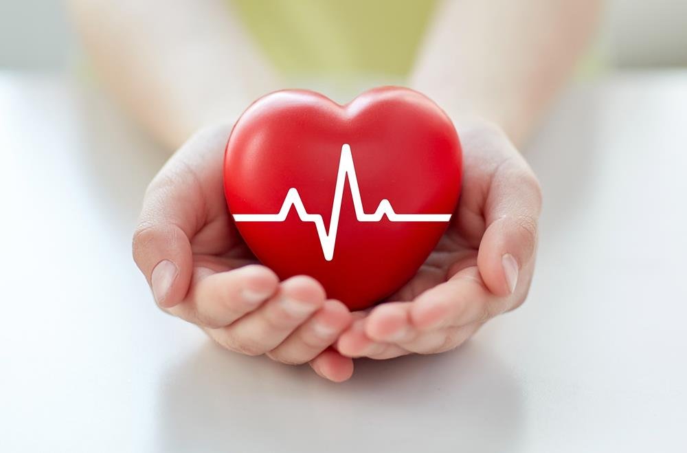 Mani a coppa che reggono un cuore rosso lucido con il tracciato bianco del battito, su un tavolo chiaro